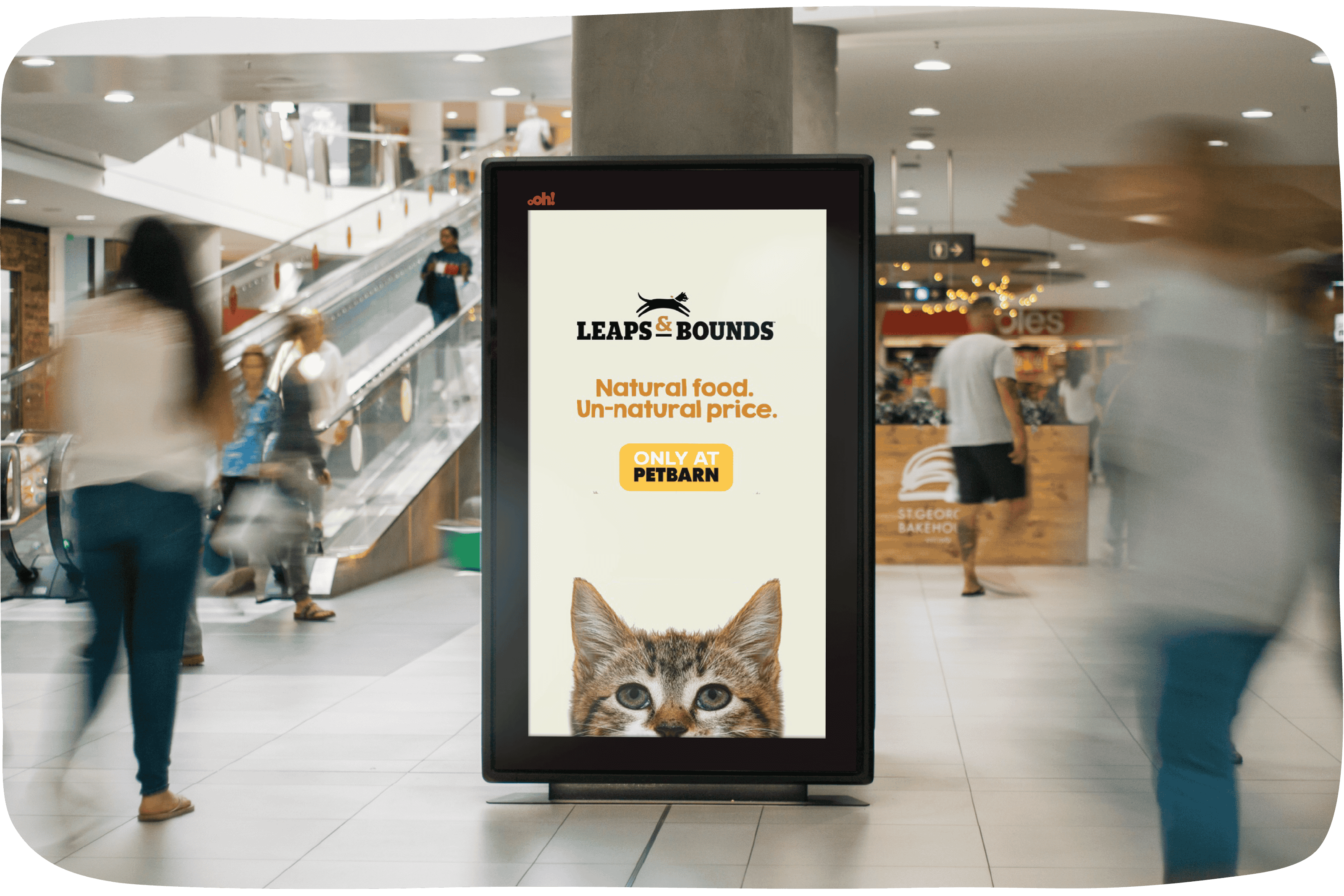 PetAds extends reach with oOh!media's digital out of home screen network