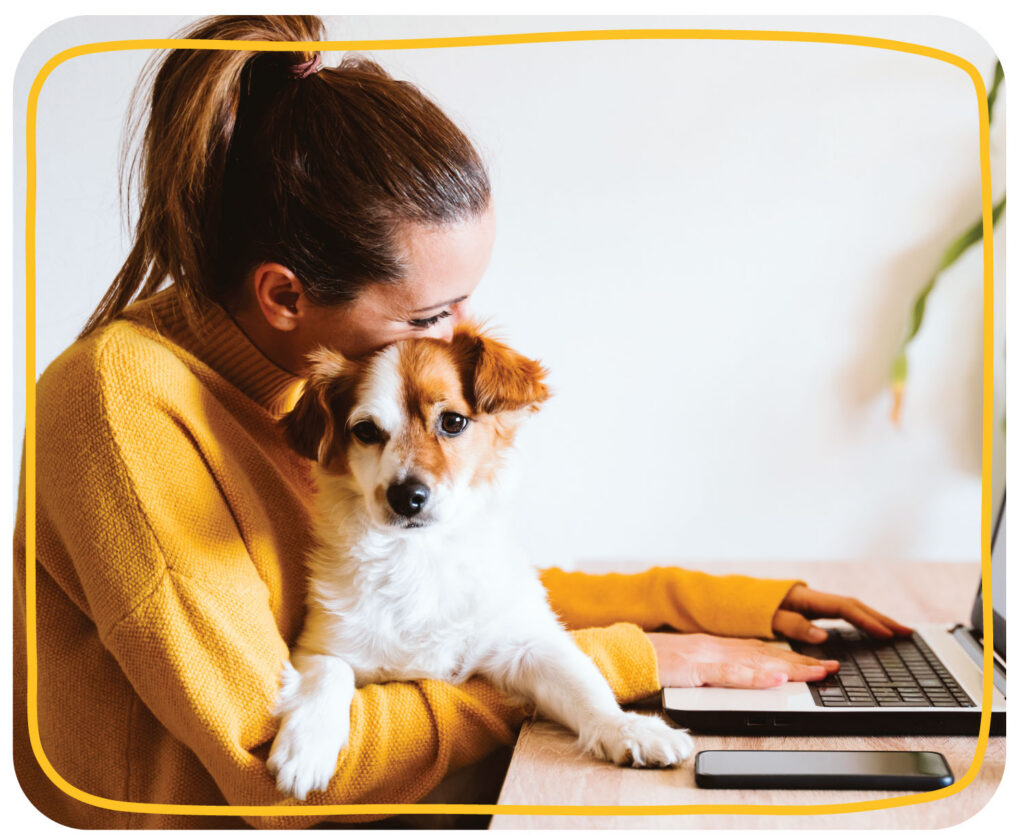 High-intent pet shopping moments at home Pet parent shopping online with their dog while browsing pet products on a laptop