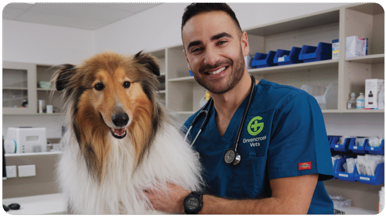 Veterinarian in Greencross Vets uniform presenting educational content for a PetAds PetBreak campaign, with pet products visible in the background.