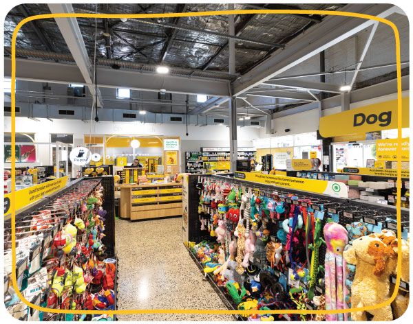 Inside a Petbarn store showing real in-store shopping moments where pet parents research, compare and make purchase decisions.