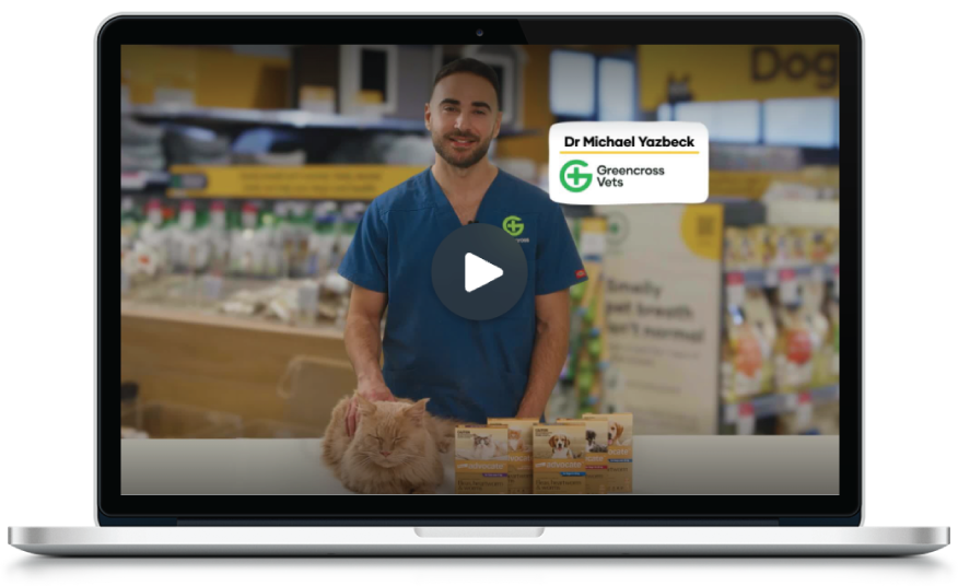 PetBreak expert‑led video by Greencross Vets Veterinarian in Greencross Vets uniform presenting a PetBreak educational video inside a pet retail environment, shown on a laptop screen with pet products in the background.